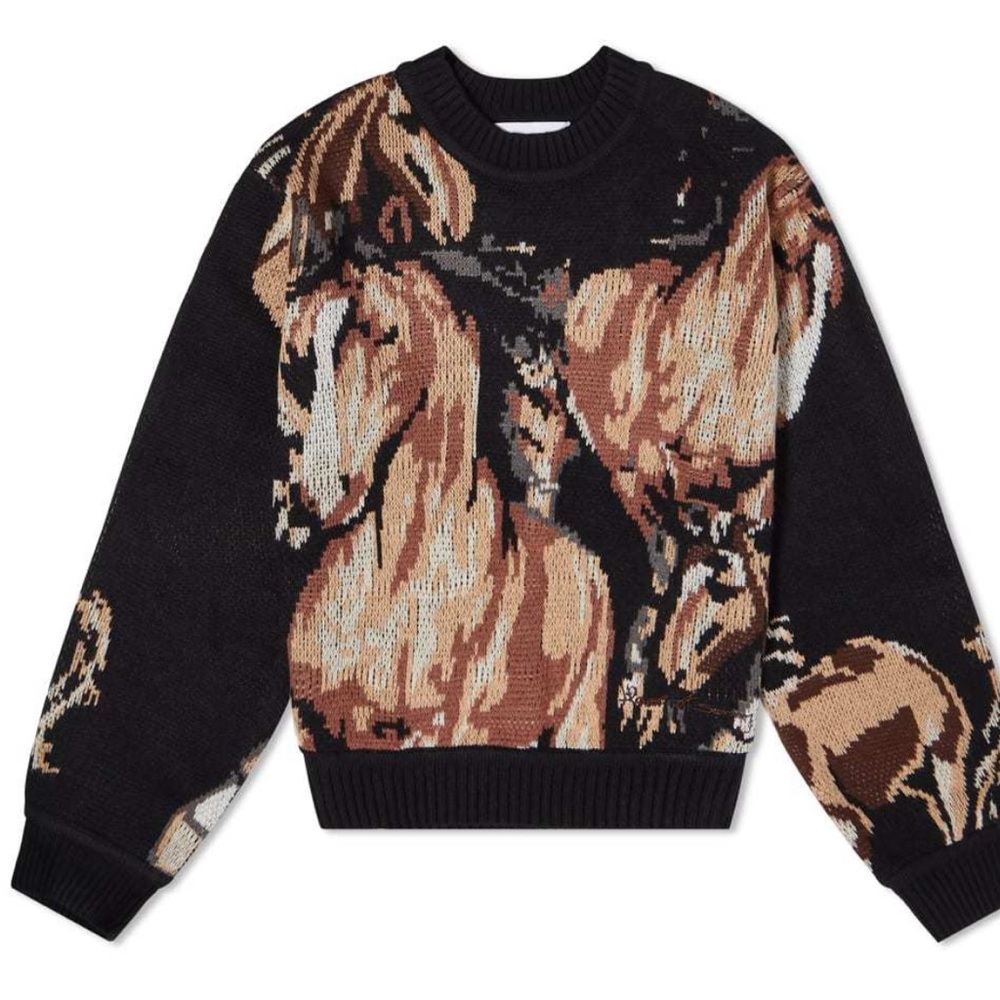 House of Sunny Horse Sweater